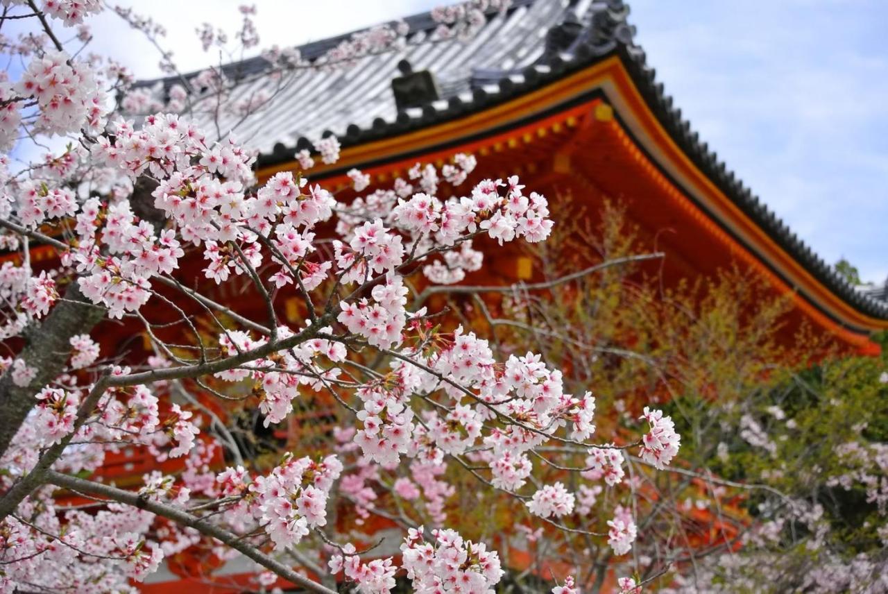 Stay Sakura Kyoto Matsuri Dış mekan fotoğraf